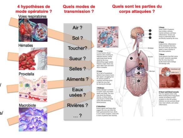 4 modes de fonctionnement du virus + 8 parties du corps touchées