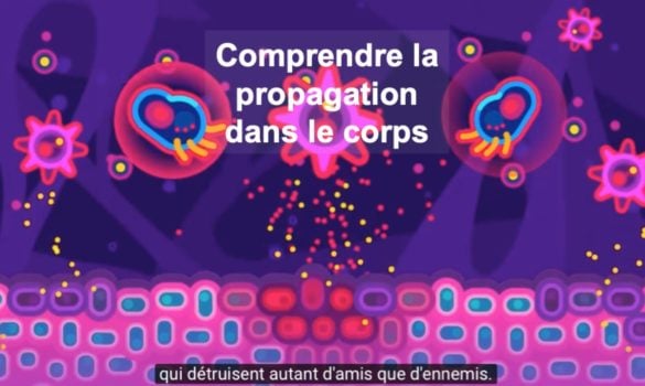 Comment fonctionne le virus ?