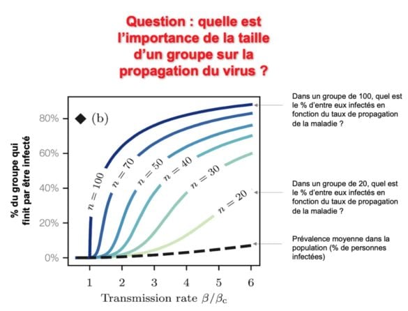 Quelle est l'importance de la taille d'un groupe sur la propagation du virus ?