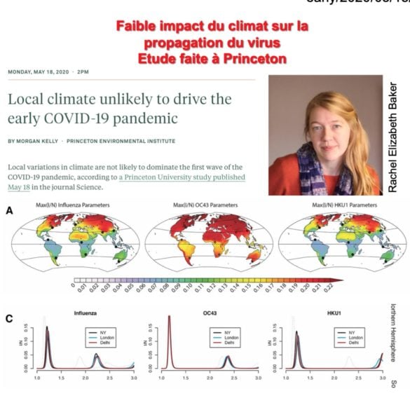 Faible impact du climat sur la propagation du virus (Etude Princeton)