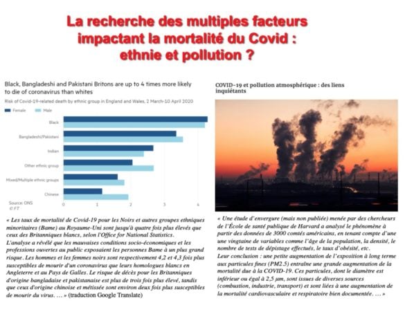 Analyse mortalité ethnique + article pollution