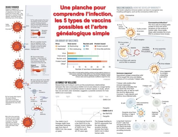 Planche synthèse pour infection, 5 vaccins et généalogie du virus