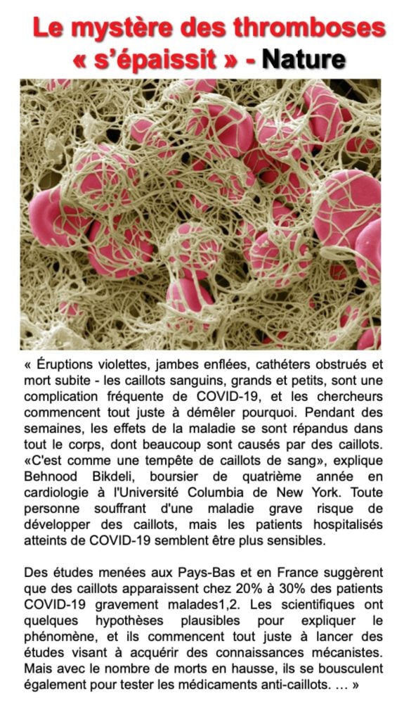 Comprendre les caillots liés au Covid