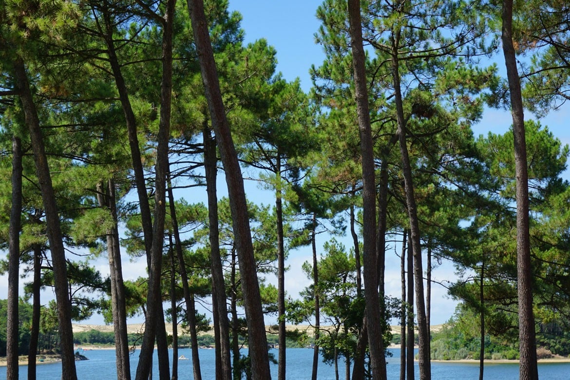 cure prechacq landes stations thermales océan
